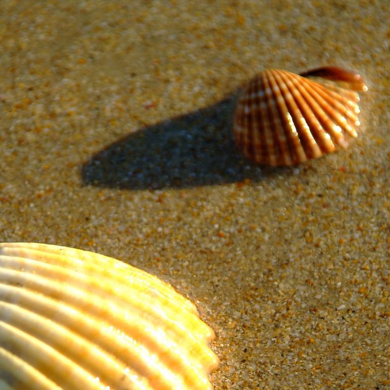 Hotel Casa Grande Zahara de los Atunes Bagian luar foto